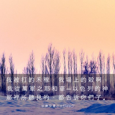 Picture 03 - 以 賽 亞 書 21:10 CUVT - 我 被 打 的 禾 稼 ， 我 場 上 的 穀 - Bible Verse Picture