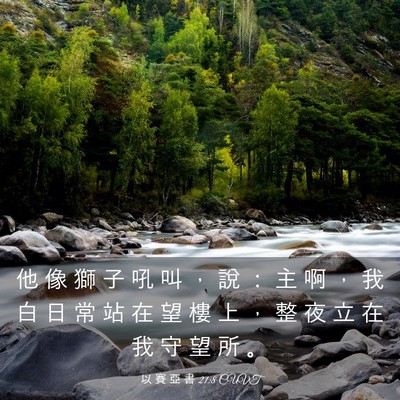 Picture 03 - 以 賽 亞 書 21:8 CUVT - 他 像 獅 子 吼 叫 ， 說 ： 主 啊 ， - Bible Verse Picture