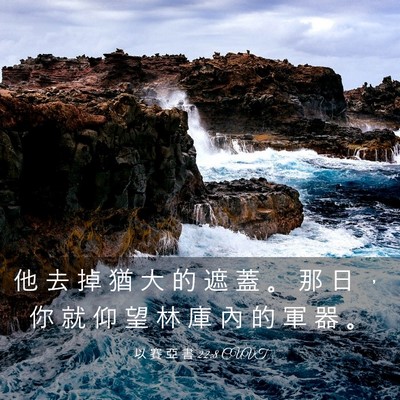 Picture 03 - 以 賽 亞 書 22:8 CUVT - 他 去 掉 猶 大 的 遮 蓋 。 那 日 ， - Bible Verse Picture