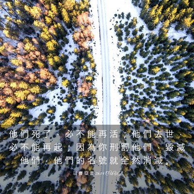 Picture 03 - 以 賽 亞 書 26:14 CUVT - 他 們 死 了 ， 必 不 能 再 活 ； 他 - Bible Verse Picture