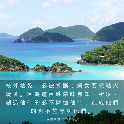 Picture 03 - 以 賽 亞 書 27:11 CUVT - 枝 條 枯 乾 ， 必 被 折 斷 ； 婦 女 - Bible Verse Picture