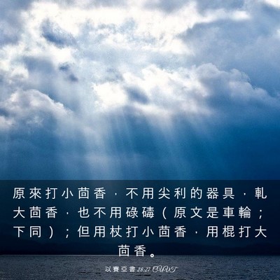 Picture 03 - 以 賽 亞 書 28:27 CUVT - 原 來 打 小 茴 香 ， 不 用 尖 利 的 - Bible Verse Picture