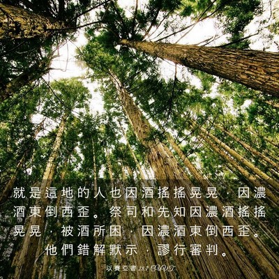 Picture 03 - 以 賽 亞 書 28:7 CUVT - 就 是 這 地 的 人 也 因 酒 搖 搖 晃 - Bible Verse Picture