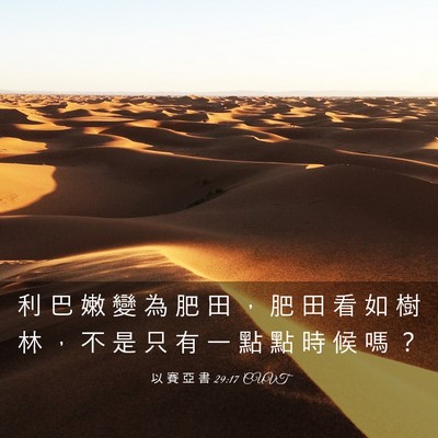 Picture 03 - 以 賽 亞 書 29:17 CUVT - 利 巴 嫩 變 為 肥 田 ， 肥 田 看 如 - Bible Verse Picture