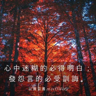 Picture 03 - 以 賽 亞 書 29:24 CUVT - 心 中 迷 糊 的 必 得 明 白 ； 發 怨 - Bible Verse Picture