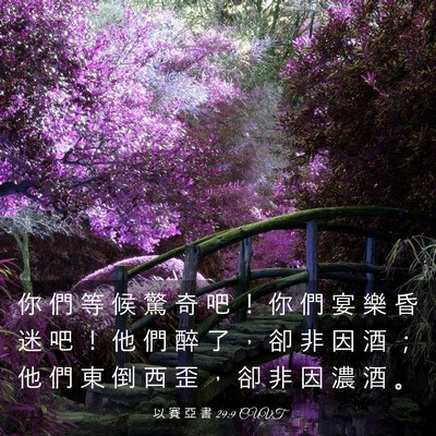 Picture 03 - 以 賽 亞 書 29:9 CUVT - 你 們 等 候 驚 奇 吧 ！ 你 們 宴 樂 - Bible Verse Picture