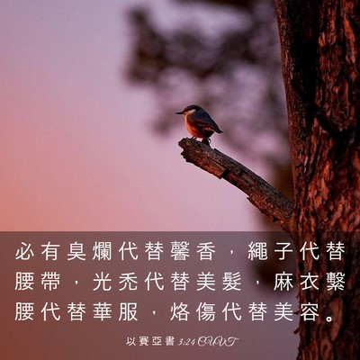 Picture 03 - 以 賽 亞 書 3:24 CUVT - 必 有 臭 爛 代 替 馨 香 ， 繩 子 代 - Bible Verse Picture