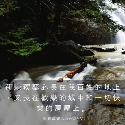 Picture 03 - 以 賽 亞 書 32:13 CUVT - 荊 棘 蒺 藜 必 長 在 我 百 姓 的 地 - Bible Verse Picture