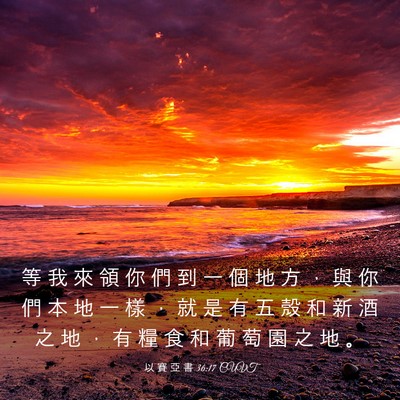 Picture 03 - 以 賽 亞 書 36:17 CUVT - 等 我 來 領 你 們 到 一 個 地 方 ， - Bible Verse Picture