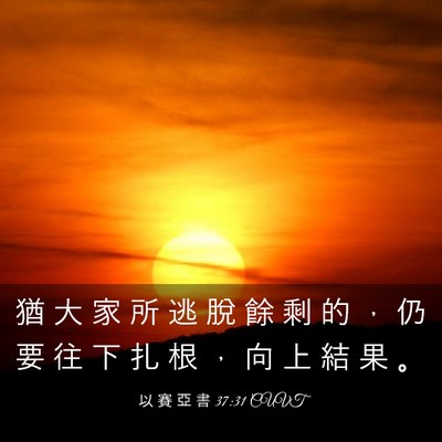Picture 03 - 以 賽 亞 書 37:31 CUVT - 猶 大 家 所 逃 脫 餘 剩 的 ， 仍 要 - Bible Verse Picture