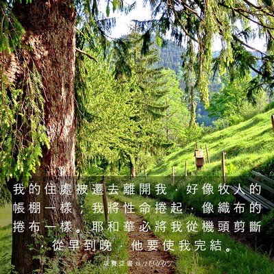 Picture 03 - 以 賽 亞 書 38:12 CUVT - 我 的 住 處 被 遷 去 離 開 我 ， 好 - Bible Verse Picture