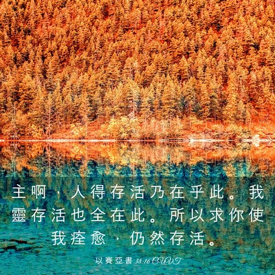 Picture 03 - 以 賽 亞 書 38:16 CUVT - 主 啊 ， 人 得 存 活 乃 在 乎 此 。 - Bible Verse Picture