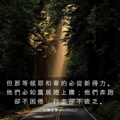Picture 03 - 以 賽 亞 書 40:31 CUVT - 但 那 等 候 耶 和 華 的 必 從 新 得 - Bible Verse Picture