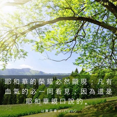 Picture 03 - 以 賽 亞 書 40:5 CUVT - 耶 和 華 的 榮 耀 必 然 顯 現 ； 凡 - Bible Verse Picture