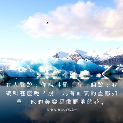 Picture 03 - 以 賽 亞 書 40:6 CUVT - 有 人 聲 說 ： 你 喊 叫 罷 ！ 有 一 - Bible Verse Picture