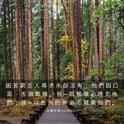 Picture 03 - 以 賽 亞 書 41:17 CUVT - 困 苦 窮 乏 人 尋 求 水 卻 沒 有 ； - Bible Verse Picture