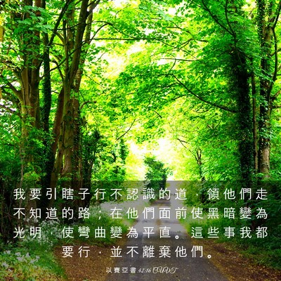 Picture 03 - 以 賽 亞 書 42:16 CUVT - 我 要 引 瞎 子 行 不 認 識 的 道 ， - Bible Verse Picture