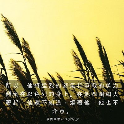 Picture 03 - 以 賽 亞 書 42:25 CUVT - 所 以 ， 他 將 猛 烈 的 怒 氣 和 爭 - Bible Verse Picture