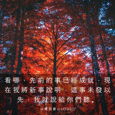 Picture 03 - 以 賽 亞 書 42:9 CUVT - 看 哪 ， 先 前 的 事 已 經 成 就 ， - Bible Verse Picture