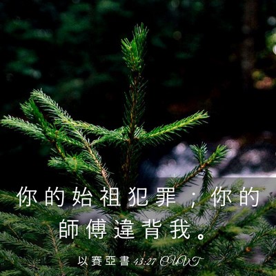 Picture 03 - 以 賽 亞 書 43:27 CUVT - 你 的 始 祖 犯 罪 ； 你 的 師 傅 違 - Bible Verse Picture