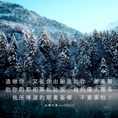 Picture 03 - 以 賽 亞 書 44:2 CUVT - 造 做 你 ， 又 從 你 出 胎 造 就 你 - Bible Verse Picture