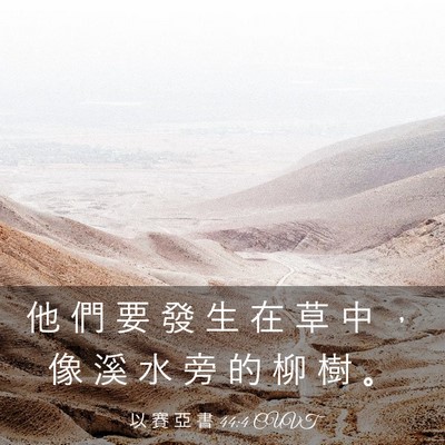 Picture 03 - 以 賽 亞 書 44:4 CUVT - 他 們 要 發 生 在 草 中 ， 像 溪 水 - Bible Verse Picture