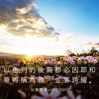 Picture 03 - 以 賽 亞 書 45:25 CUVT - 以 色 列 的 後 裔 都 必 因 耶 和 華 - Bible Verse Picture