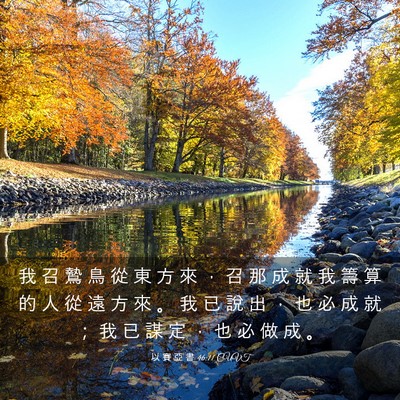 Picture 03 - 以 賽 亞 書 46:11 CUVT - 我 召 鷙 鳥 從 東 方 來 ， 召 那 成 - Bible Verse Picture