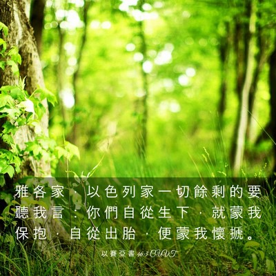 Picture 03 - 以 賽 亞 書 46:3 CUVT - 雅 各 家 ， 以 色 列 家 一 切 餘 剩 - Bible Verse Picture
