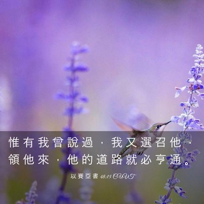 Picture 03 - 以 賽 亞 書 48:15 CUVT - 惟 有 我 曾 說 過 ， 我 又 選 召 他 - Bible Verse Picture