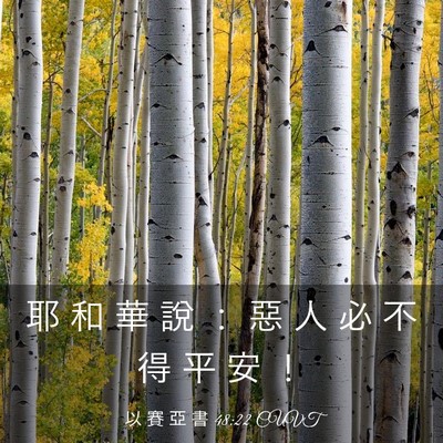 Picture 03 - 以 賽 亞 書 48:22 CUVT - 耶 和 華 說 ： 惡 人 必 不 得 平 安 - Bible Verse Picture