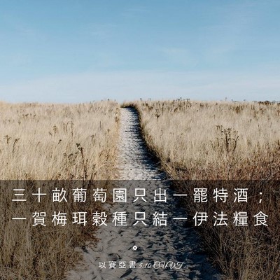 Picture 03 - 以 賽 亞 書 5:10 CUVT - 三 十 畝 葡 萄 園 只 出 一 罷 特 酒 - Bible Verse Picture