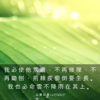 Picture 03 - 以 賽 亞 書 5:6 CUVT - 我 必 使 他 荒 廢 ， 不 再 修 理 ， - Bible Verse Picture