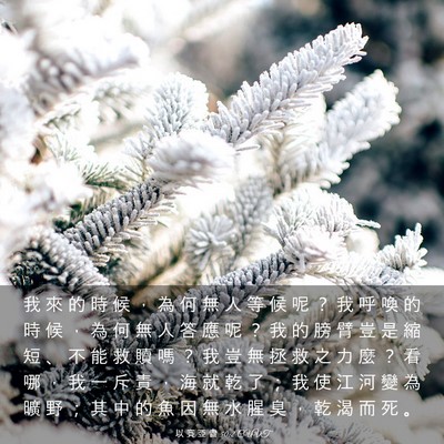 Picture 03 - 以 賽 亞 書 50:2 CUVT - 我 來 的 時 候 ， 為 何 無 人 等 候 - Bible Verse Picture