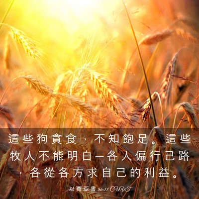 Picture 03 - 以 賽 亞 書 56:11 CUVT - 這 些 狗 貪 食 ， 不 知 飽 足 。 這 - Bible Verse Picture