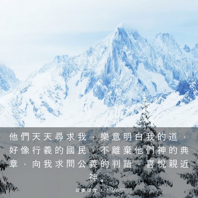 Picture 03 - 以 賽 亞 書 58:2 CUVT - 他 們 天 天 尋 求 我 ， 樂 意 明 白 - Bible Verse Picture