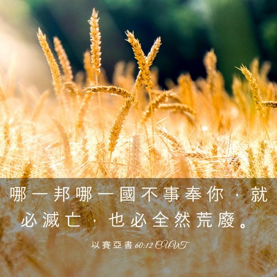 Picture 03 - 以 賽 亞 書 60:12 CUVT - 哪 一 邦 哪 一 國 不 事 奉 你 ， 就 - Bible Verse Picture