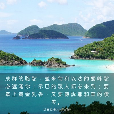 Picture 03 - 以 賽 亞 書 60:6 CUVT - 成 群 的 駱 駝 ， 並 米 甸 和 以 法 - Bible Verse Picture