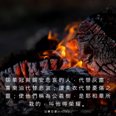 Picture 03 - 以 賽 亞 書 61:3 CUVT - 賜 華 冠 與 錫 安 悲 哀 的 人 ， 代 - Bible Verse Picture