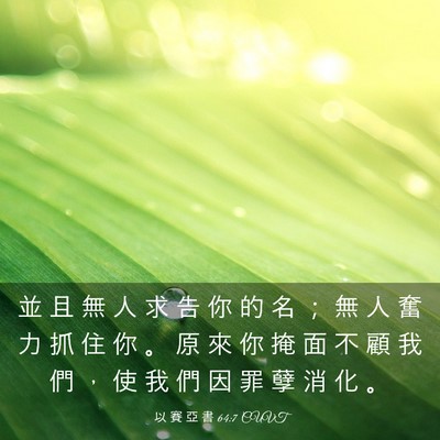 Picture 03 - 以 賽 亞 書 64:7 CUVT - 並 且 無 人 求 告 你 的 名 ； 無 人 - Bible Verse Picture