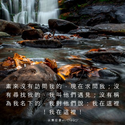 Picture 03 - 以 賽 亞 書 65:1 CUVT - 素 來 沒 有 訪 問 我 的 ， 現 在 求 - Bible Verse Picture