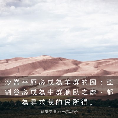 Picture 03 - 以 賽 亞 書 65:10 CUVT - 沙 崙 平 原 必 成 為 羊 群 的 圈 ； - Bible Verse Picture