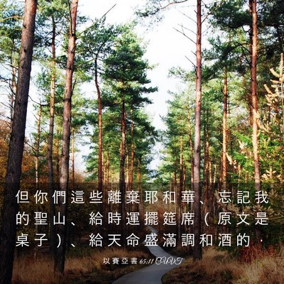 Picture 03 - 以 賽 亞 書 65:11 CUVT - 但 你 們 這 些 離 棄 耶 和 華 、 忘 - Bible Verse Picture