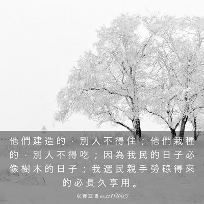 Picture 03 - 以 賽 亞 書 65:22 CUVT - 他 們 建 造 的 ， 別 人 不 得 住 ； - Bible Verse Picture