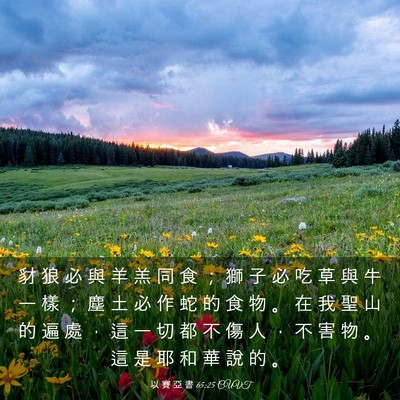 Picture 03 - 以 賽 亞 書 65:25 CUVT - 豺 狼 必 與 羊 羔 同 食 ； 獅 子 必 - Bible Verse Picture