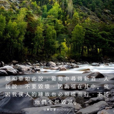 Picture 03 - 以 賽 亞 書 65:8 CUVT - 耶 和 華 如 此 說 ： 葡 萄 中 尋 得 - Bible Verse Picture