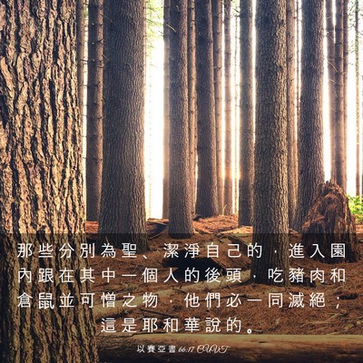 Picture 03 - 以 賽 亞 書 66:17 CUVT - 那 些 分 別 為 聖 、 潔 淨 自 己 的 - Bible Verse Picture