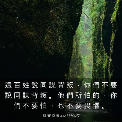 Picture 03 - 以 賽 亞 書 8:12 CUVT - 這 百 姓 說 同 謀 背 叛 ， 你 們 不 - Bible Verse Picture
