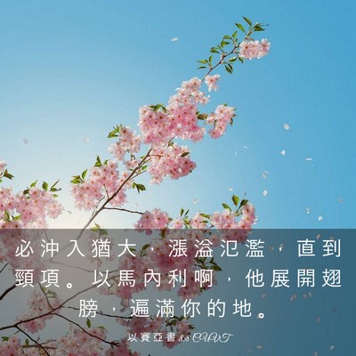 Picture 03 - 以 賽 亞 書 8:8 CUVT - 必 沖 入 猶 大 ， 漲 溢 氾 濫 ， 直 - Bible Verse Picture