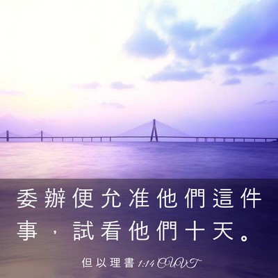 Picture 03 - 但 以 理 書 1:14 CUVT - 委 辦 便 允 准 他 們 這 件 事 ， 試 - Bible Verse Picture